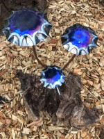 f. Titanium Mushroom root.jpg